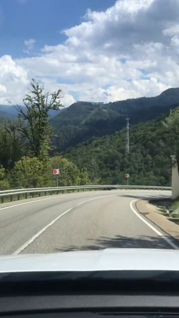 Поляна. Утро после дождя 21.08.2025 г. смотреть онлайн