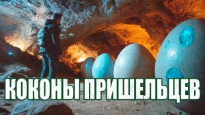 Исследователь нашел кладку инопланетных яиц в Самарской области?