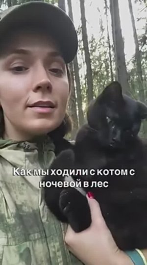 С котом ходили с ночёвкой в лес
