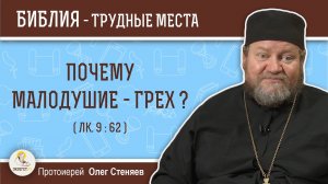 Почему малодушие - грех (Лк. 9:62) ? Протоиерей Олег Стеняев