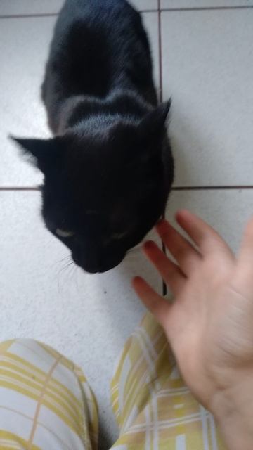 муся смотреть онлайн