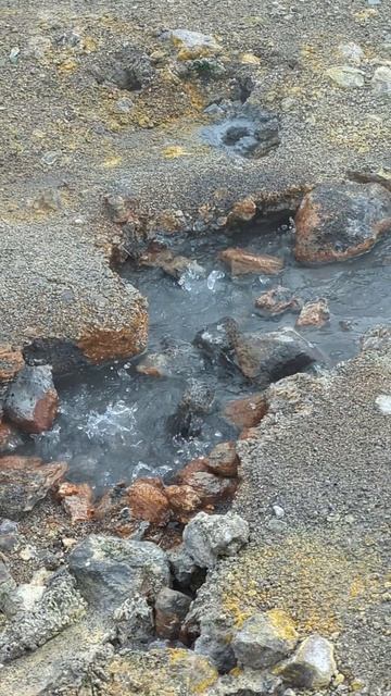 Термальная вода Камчатки #термальныйисточник #термальнаявода смотреть онлайн