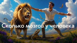Лекция № 3 – Сколько мозгов у человека