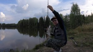 Хорошая рыбалка на пруду. Лещ на фидер.