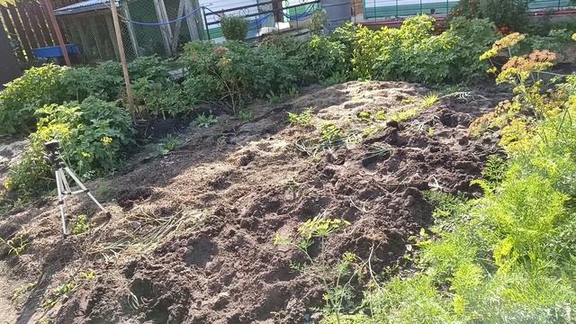 В последний раз. Хорошенько поработала смотреть онлайн