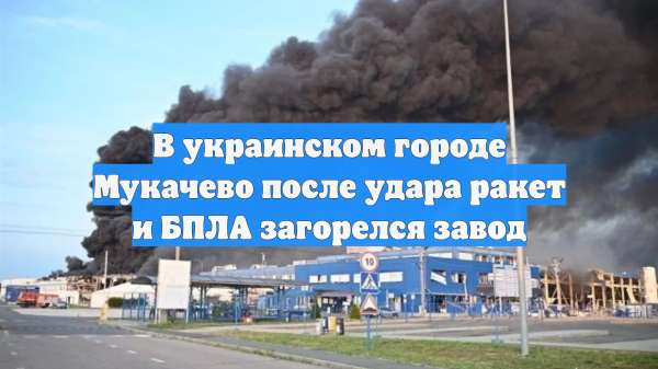В украинском городе Мукачево после удара ракет и БПЛА загорелся завод