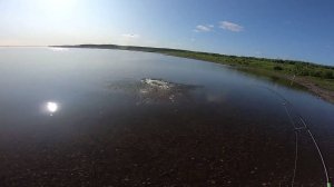 Рыбалка на реке. Бешенный клёв щуки. Продолжение следует. Часть 3.