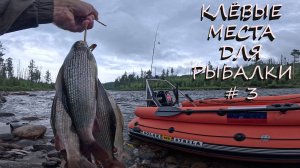 ХАРИУС С БЕРЕГА И С ЛОДКИ | НИЗКИЙ УРОВЕНЬ ВОДЫ НА РЕКЕ