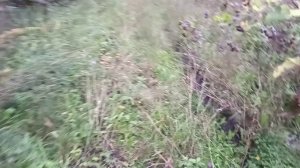 Прогулка по дорогам детства...