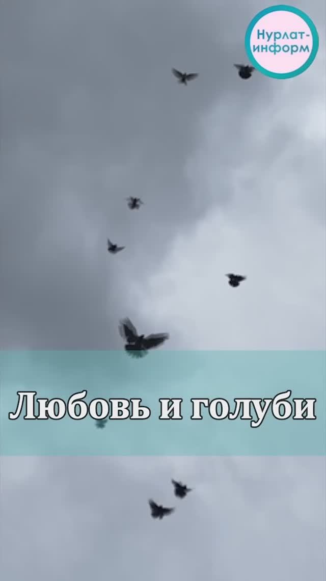 «Небесные бабочки» Леонида Палькейкина смотреть онлайн