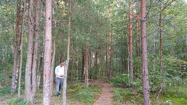 Смелые шаги