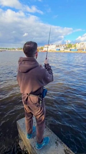 Окуни в Выборге