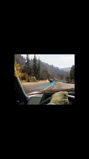 Бизон на максималках #shorts #Far_Cry_5 #PS4 #ПРОХОЖДЕНИЕ #GrishaTV2006 смотреть онлайн