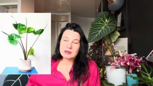 От каких растений я избавилась: обзор за три года