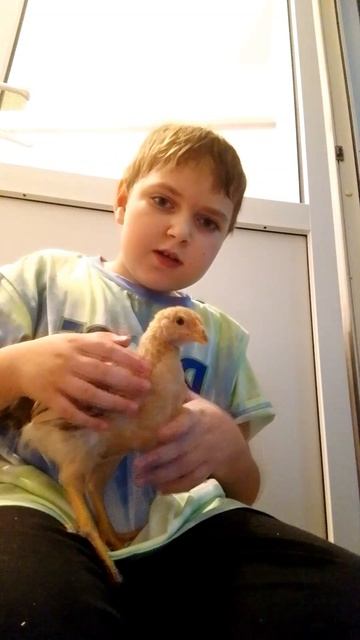 видео для крепыша