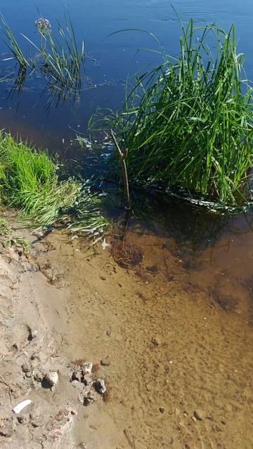 хочу заказать погоду