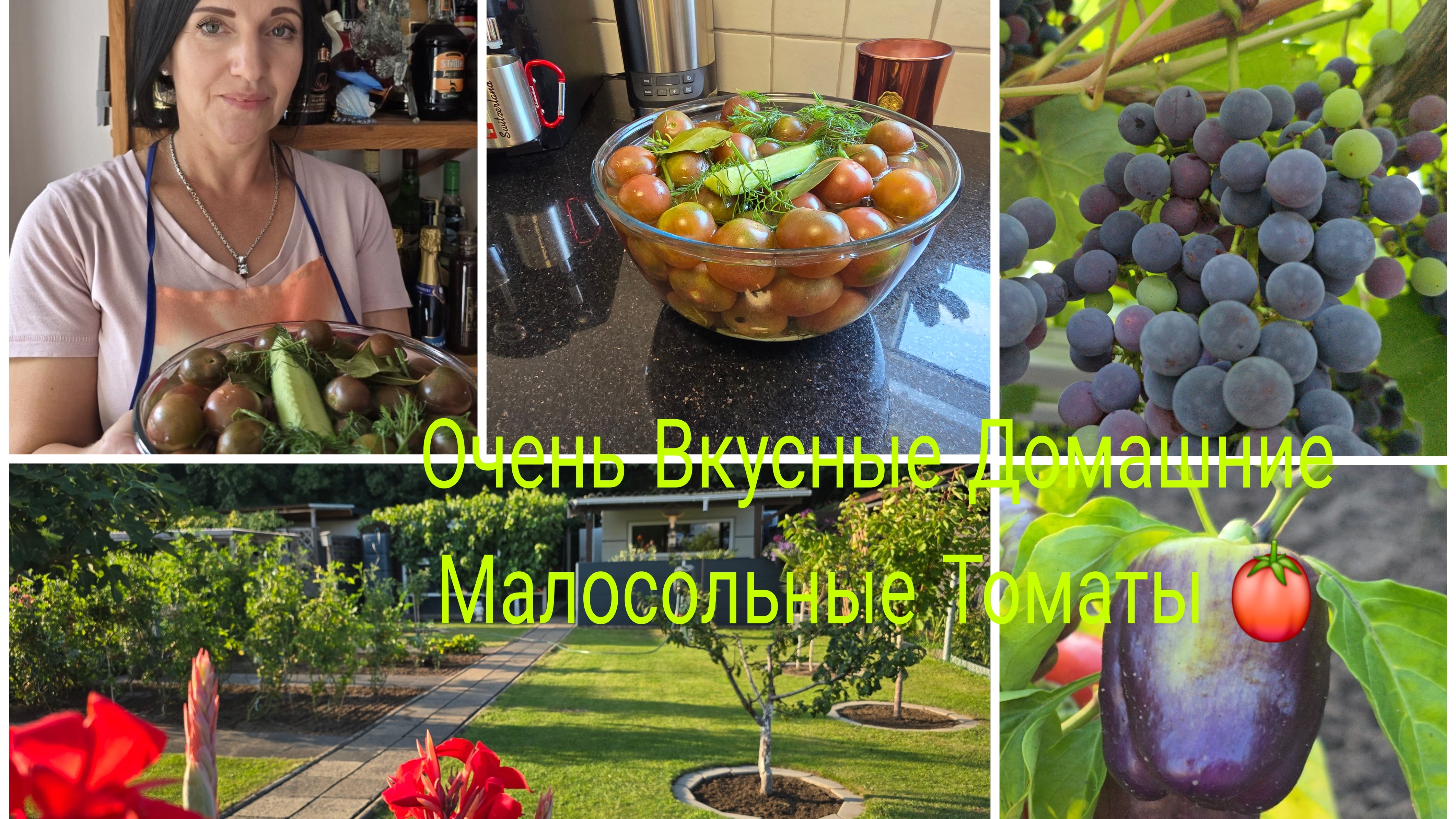 Домашние Самые Вкусные Малосольные Огурцы/Любимая Дача 🏕Собираю Томаты 🍅🔥 смотреть онлайн