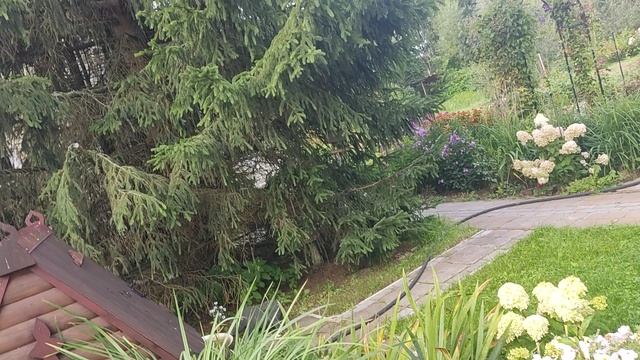 Гортензия Бобо. смотреть онлайн