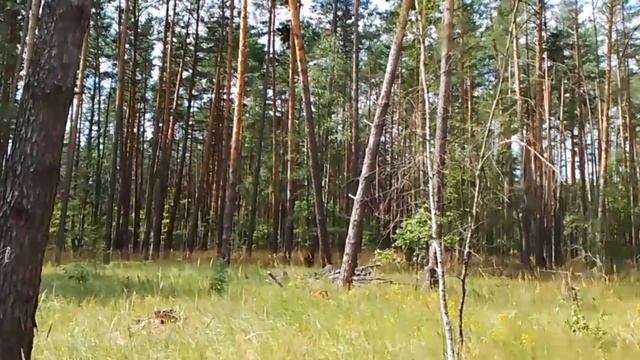 ПОСЛЕВКУСИЕ ОТПУСКА