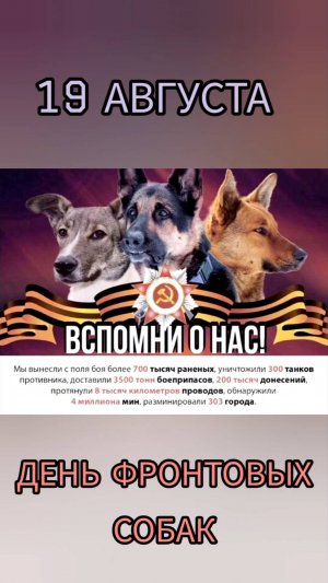 День фронтовой собаки