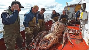 Моряки выловили в море нечто