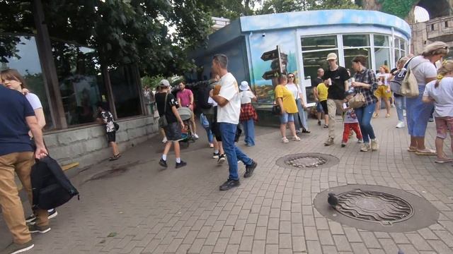 Московский зоопарк 19072025 ч2 смотреть онлайн