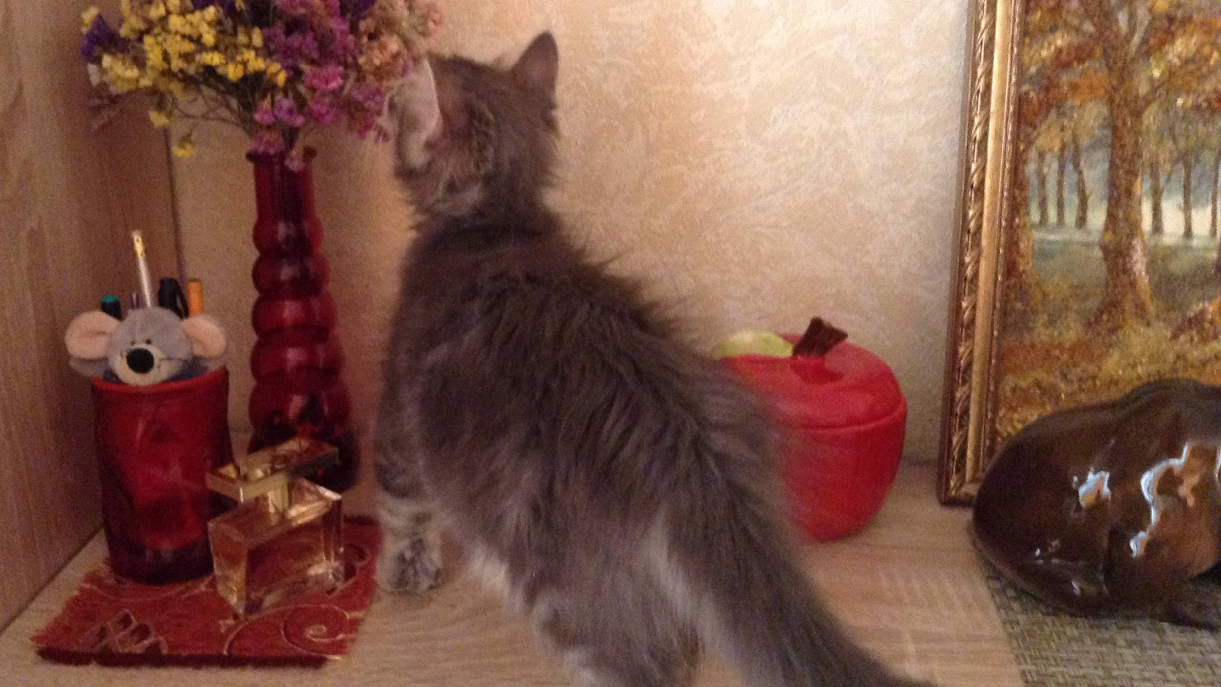 Касандра_2 смотреть онлайн