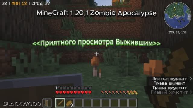 Майнкрафт: Выживание Против Зомби Апокалипсиса Часть 1 смотреть онлайн