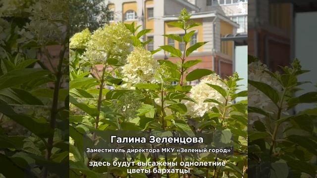 IMG_2674 смотреть онлайн