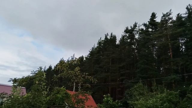 Сильный порывистый ветер в тылу молодого волнового циклона смотреть онлайн