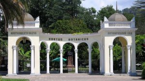 Смешные названия растений. Змея. Сухумский ботанический сад. Абхазия