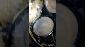 Clarion Guard 200-325 Очиститель топливной системы Концентрат