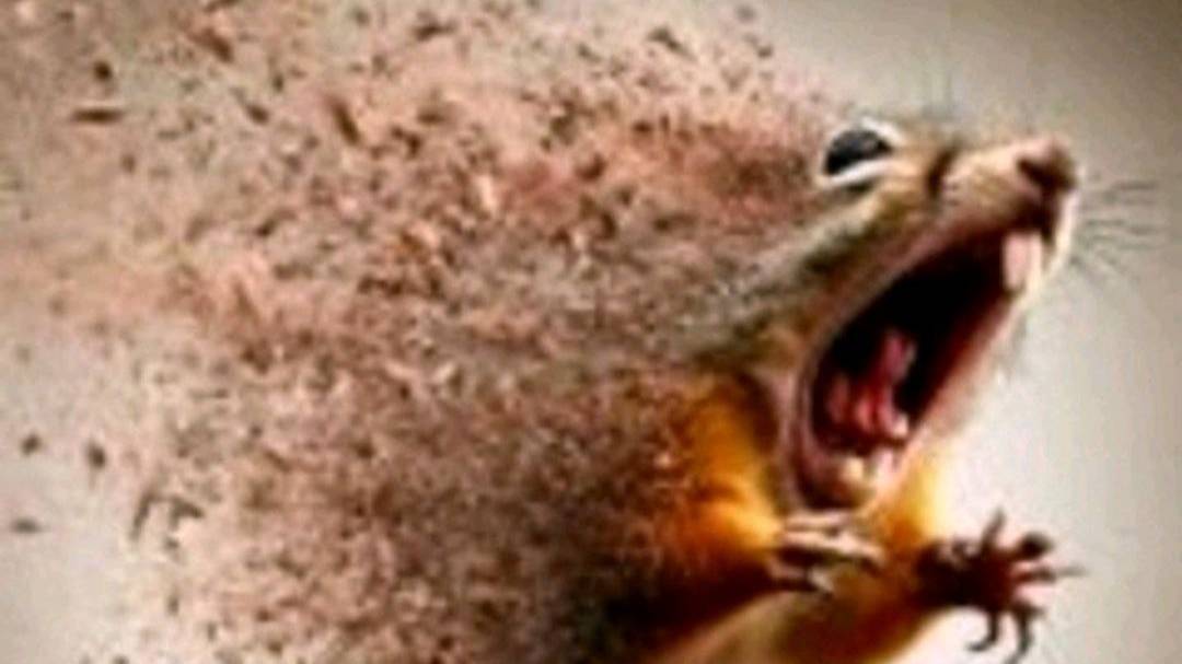 АРЕШКИ БИГ БОБ смотреть онлайн