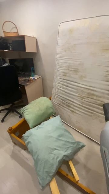 Тараканы везде