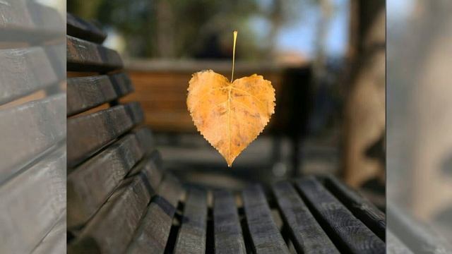 Ну, здравствуй, осень! смотреть онлайн