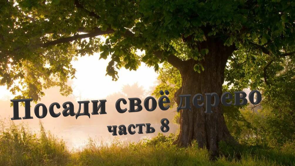 Посадка дубов Часть 8 смотреть онлайн