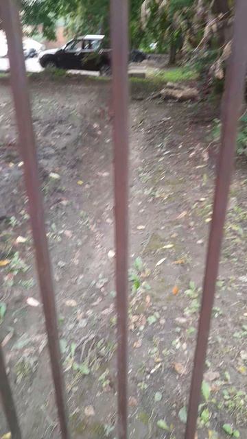 33786e5c-db0a-4c78-b65a-4f08863909ca-1_all_745.mp4