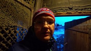 Влог от 31.03.2021