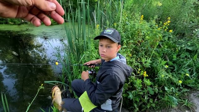 Нашли болото где есть рыба. смотреть онлайн