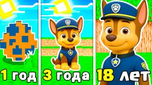 КАК МЕНЯЛСЯ ГОНЩИК ЩЕНЯЧИЙ ПАТРУЛЬ В МАЙНКРАФТ