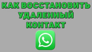 Как восстановить удаленный контакт в Ватсапе