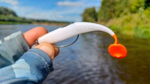 С ЭТОЙ приманкой ВСЕГДА ПОЙМАЮ РАЗНОРЫБИЦУ. Рыбалка на спиннинг на реке в 2025