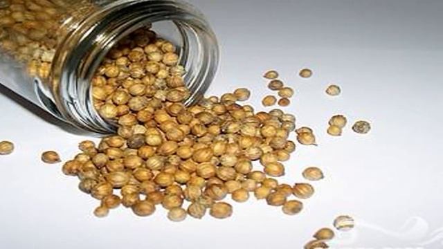 1000 и 1 рецепт