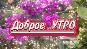 Доброе утро! Песня с добрым утром