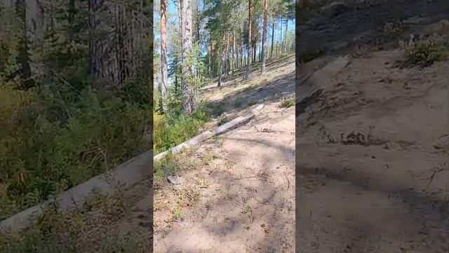 Отдых на озере. смотреть онлайн