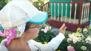 Видео привет с 6 соток 19 августа 2025 года