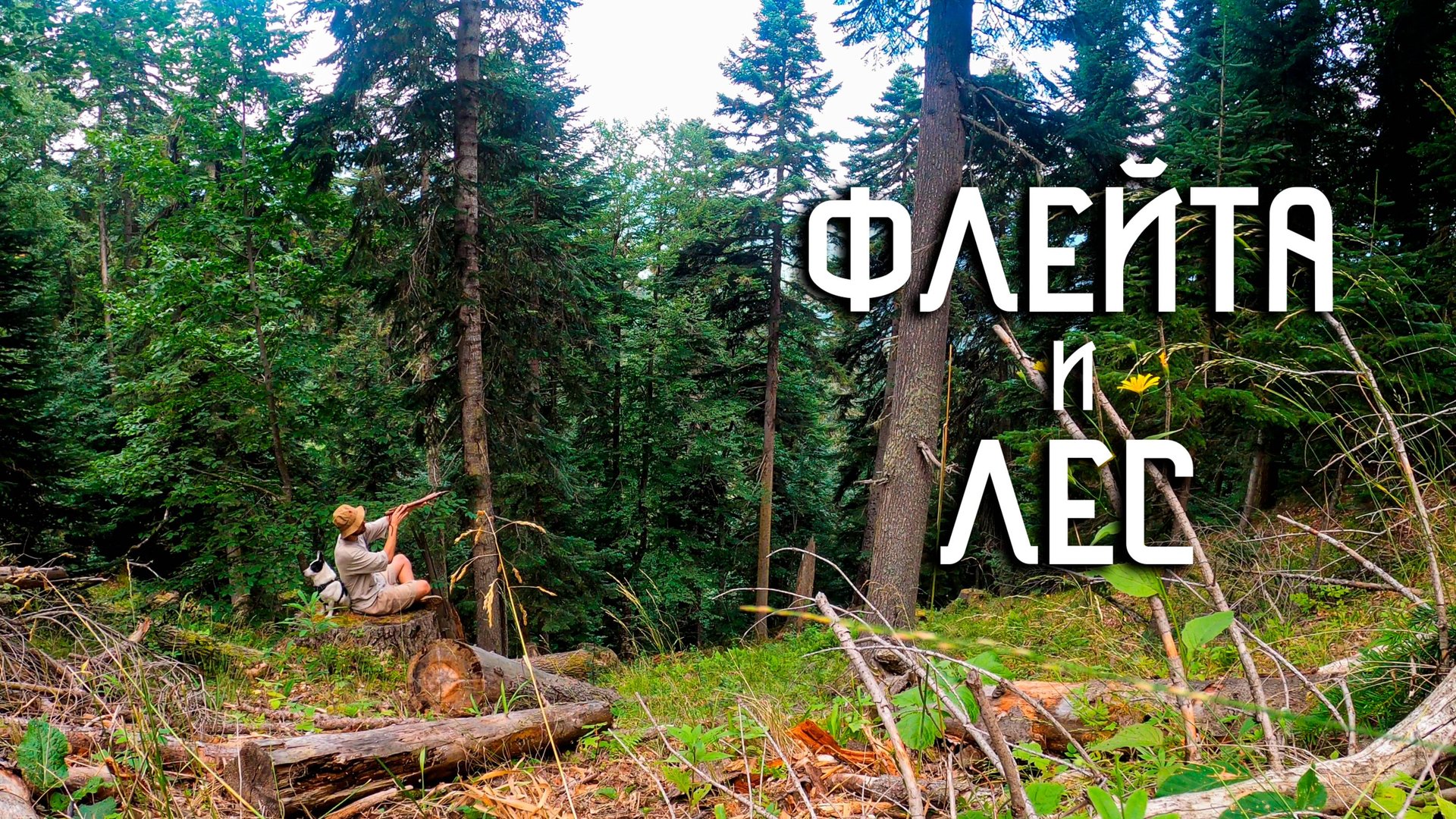 Флейта Пимак в горном лесу / Музыка Души из лесной глуши смотреть онлайн