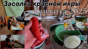 КАМЧАТКА. Солим красную свежую икру Кижуча. 2025г.