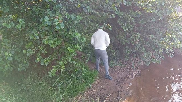 История мира