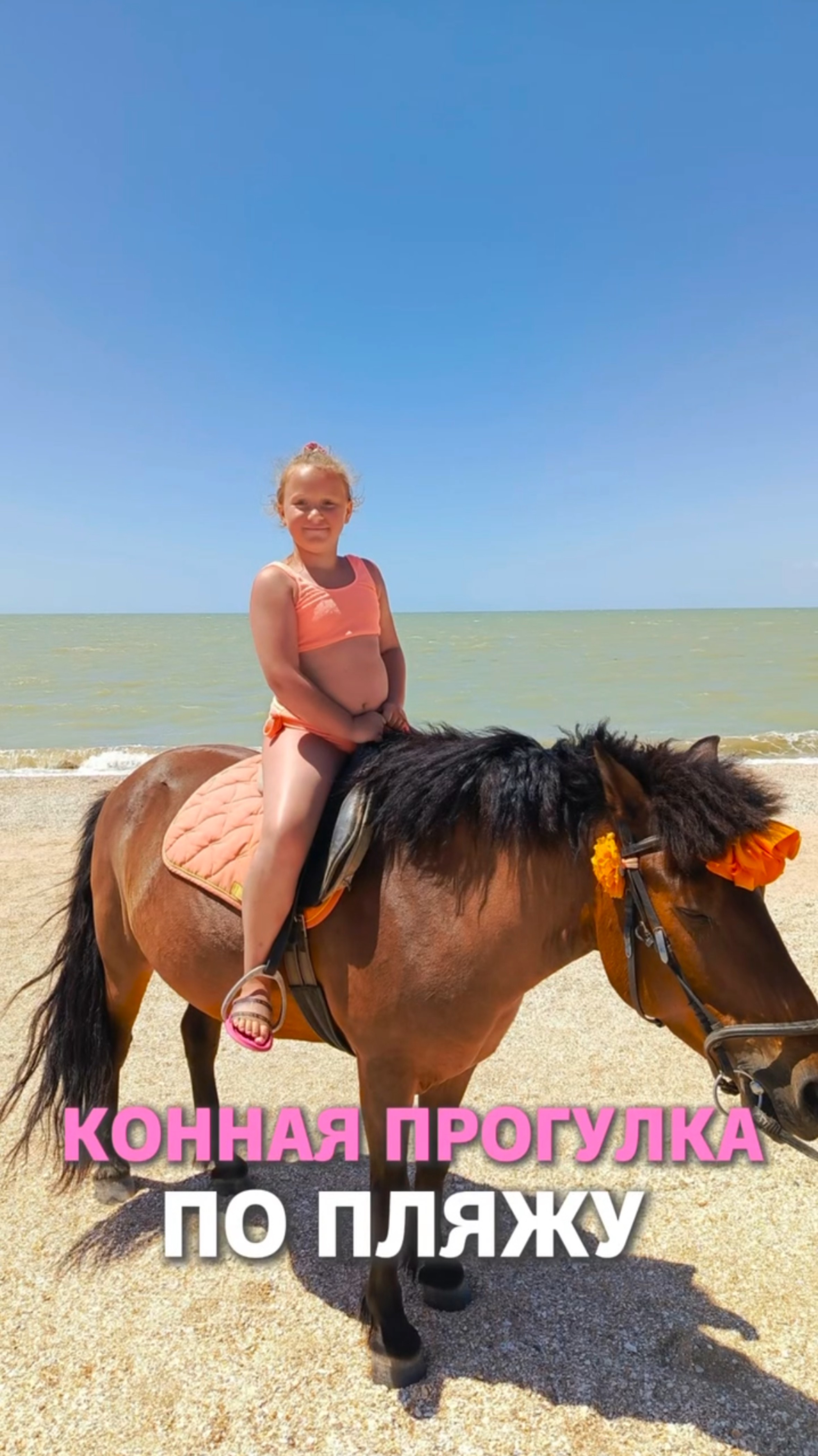 конная прогулка по пляжу смотреть онлайн